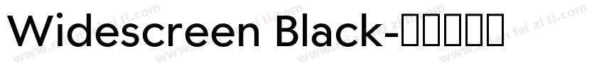 Widescreen Black字体转换